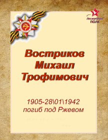 Востриков Михаил Трофимович