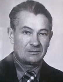 Николаев Викентий Дмитриевич