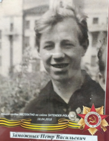 Заможных Пётр Васильевич