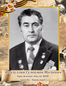 Файзуллин Сулейман Мусаевич