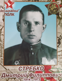 Стребко Дмитрий Филиппович