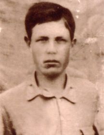 Лотарев Николай Степанович