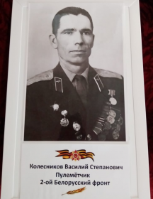 Колесников Василий Степанович