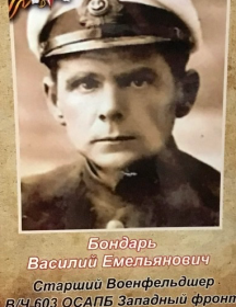 Бондарь Василий Емельянович