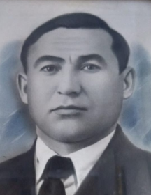Шарипов Назиб Шафикович