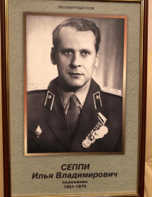 Сеппи Илья Владимирович
