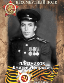 Плотников Дмитрий Петрович