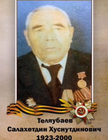 Теляубаев Салахетдин Хуснутдинович