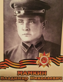 Мамкин Владимир Николаевич