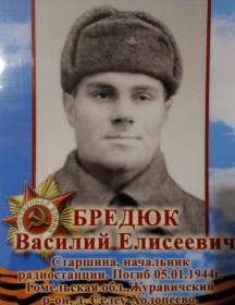 Бредюк Василий Елисеевич