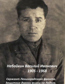 Небайкин Василий Иванович