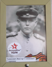 Тышкевич Виктор Степанович