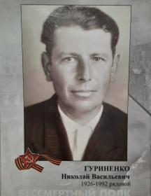 Гуриненко Николай Васильевич