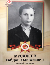 Мусалеев Хайдар Ханяфиевич