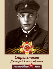Стрельников Дмитрий Александрович