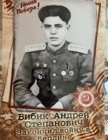 Бибик Андрей Степанович