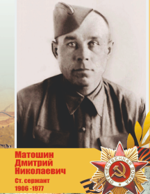 Матошин Дмитрий Николаевич