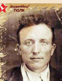 Госткин Николай Иванович