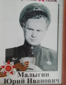 Малыгин Юрий Иванович