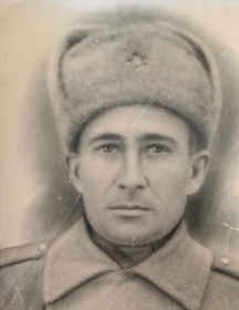 Протонин Николай Григорьевич