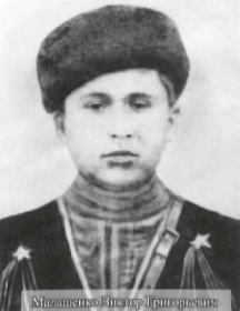 Малашенко Виктор Григорьевич