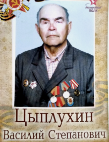Цыплухин Василий Степанович