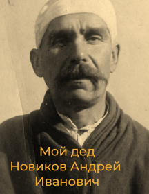 Новиков Андрей Иванович