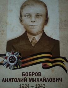 Бобров Анатолий Михайлович