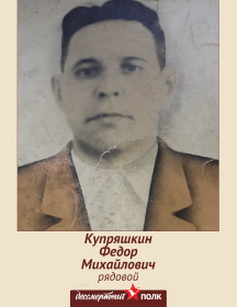 Купряшкин Федор Михайлович