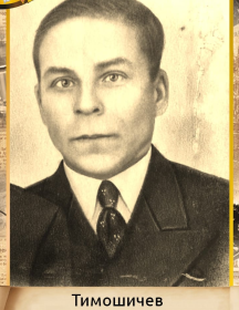 Тимошичев Николай Николаевич