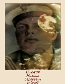 Пичугин Михаил Сергеевич