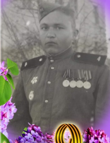 Матросов Анатолий Афонасьевич