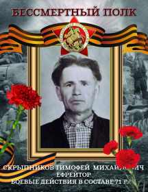 Скрыпников Тимофей Михайлович