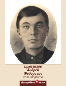 Брызгалов Андрей Федорович