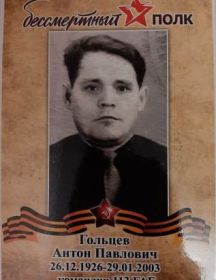 Гольцев Антон Павлович