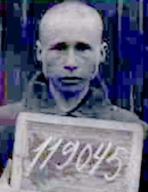 Кузьмин Григорий Константинович