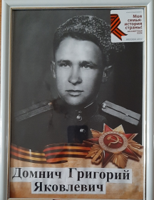Домнич Григорий Яковлевич