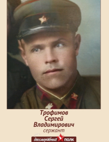 Трофимов Сергей Владимирович