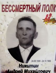 Никитин  Андрей  Михайлович