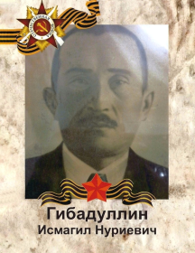 Гибадуллин Исмагил Нуриевич