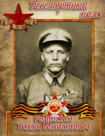 Невежин Тихон Моисеевич