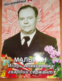 Малыгин Игорь Алексеевич