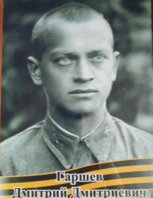 Гаршев Дмитрий Дмитриевич