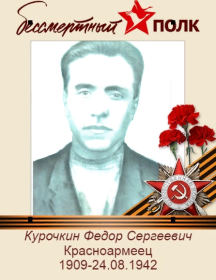 Курочкин Федор Сергеевич