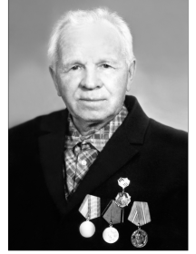 Низов Александр Степанович