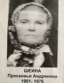 Шеина Просковья Андреевна