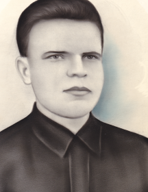 Полников Василий Дмитриевич