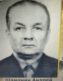 Шаманин Андрей Иванович