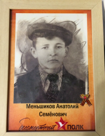 Меньшиков Анатолий Семёнович