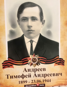 Андреев Тимофей Андреевич